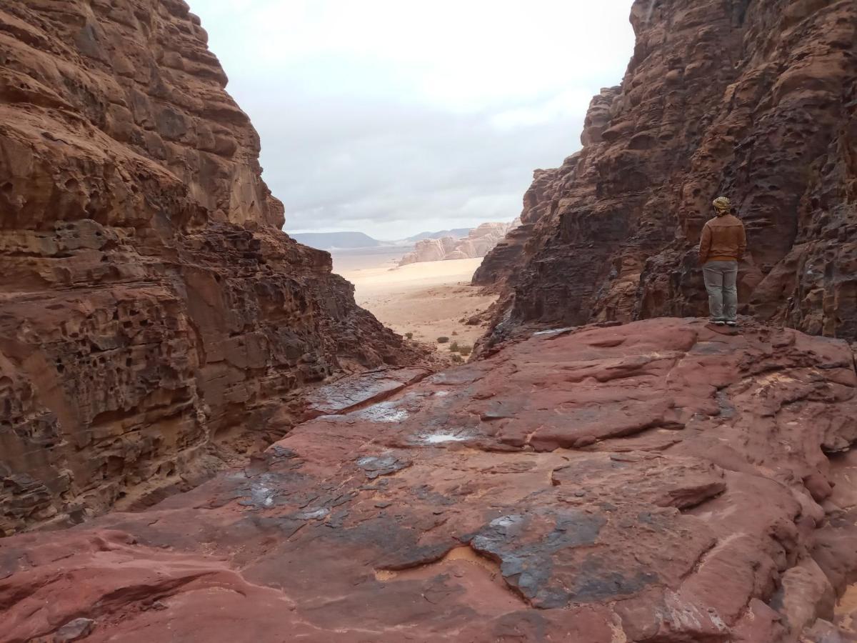 Rum Moon Luxury Camp Wadi Rum Esterno foto